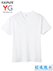 グンゼ YG 超速吸水 紳士VネックＴシャツ 本体綿100%の詳細写真Ａ